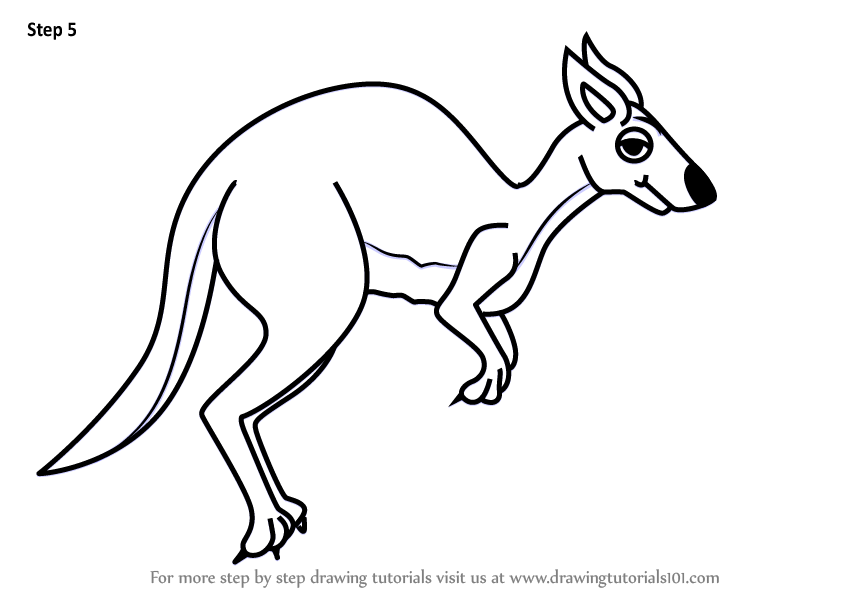 844x598 Armadillo Drawing Kangaroo For Free Download
