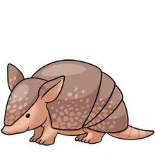 220x220 Collection Of Free Armadillo Drawing Cute Download On Ui Ex