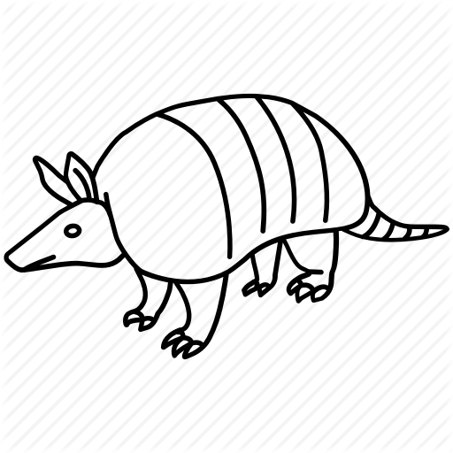 512x512 Collection Of Free Armadillo Drawing Extinct Download On Ui Ex
