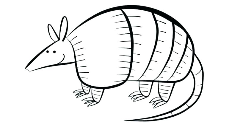 770x430 Armadillo Drawing Steampunk For Free Download