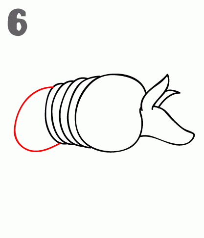 417x485 How To Draw An Armadillo