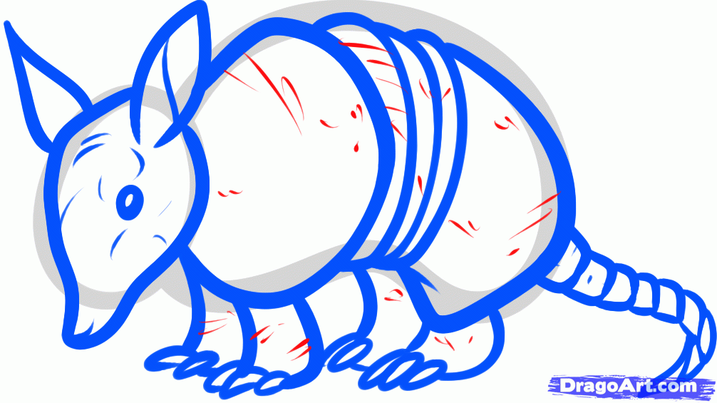 1006x565 How To Draw An Armadillo, Step