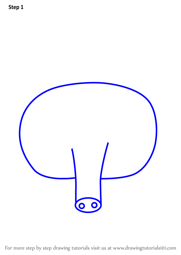 602x848 Learn How To Draw An Armadillo Face For Kids