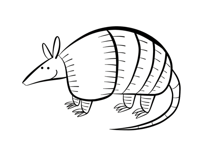 792x612 Pictures Of An Armadillo