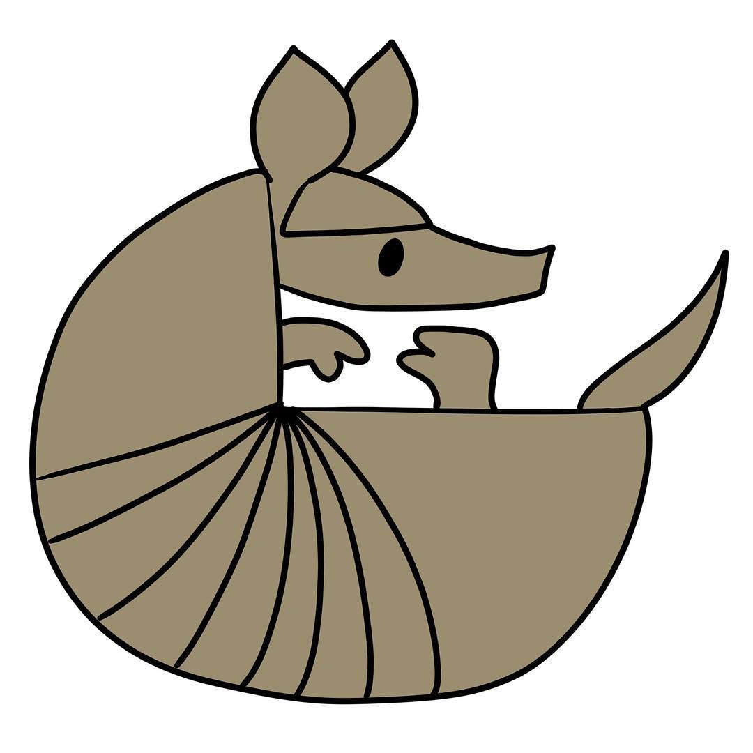 1080x1080 Armadillo