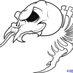250x250 Skull Drawings Easy Bear Army Cool To Color Pictures Ajedrezdeen
