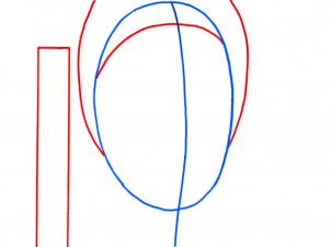 302x225 draw the terminator, draw arnold schwarzenegger, step