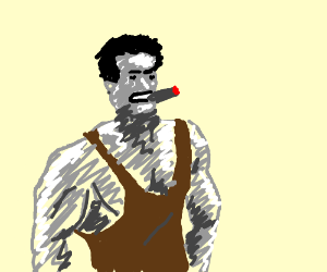 300x250 arnold schwarzenegger