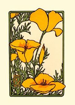 245x343 Arts And Crafts California Poppy Tattoo Ideas In Art, Art