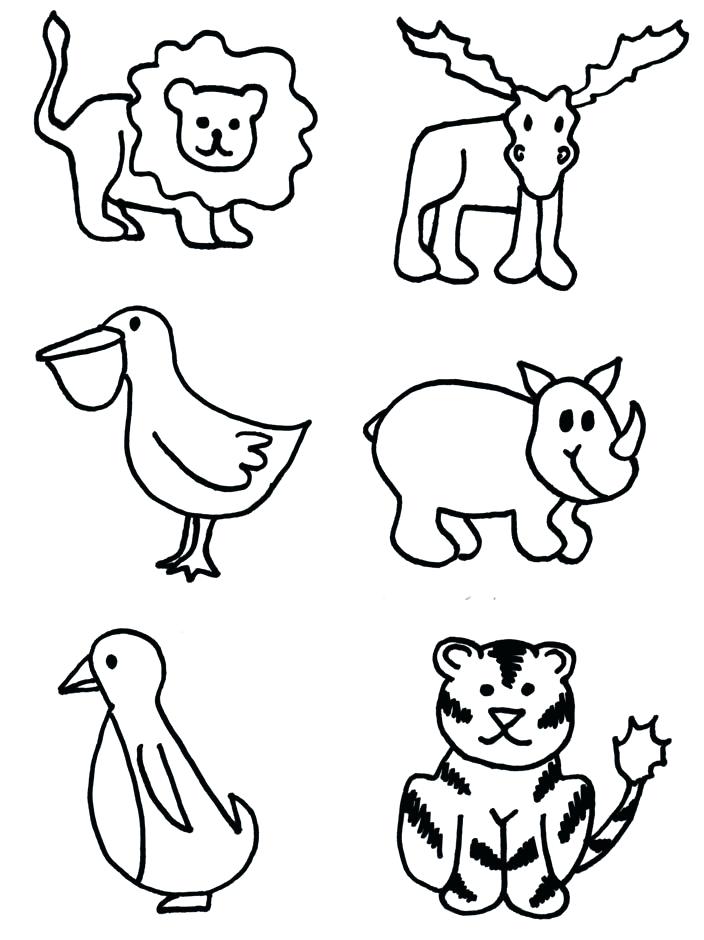 704x940 Drawing Zoo Animals Zoo Animals To Draw Stunning Idea How To Draw