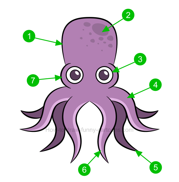 572x581 How To Draw An Octopus Clip Art