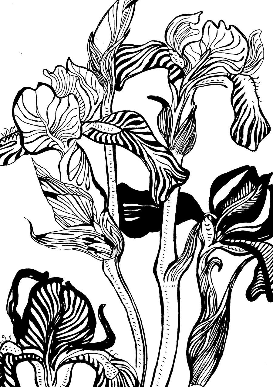 900x1273 Illustrations Clipart For Digital Stamps