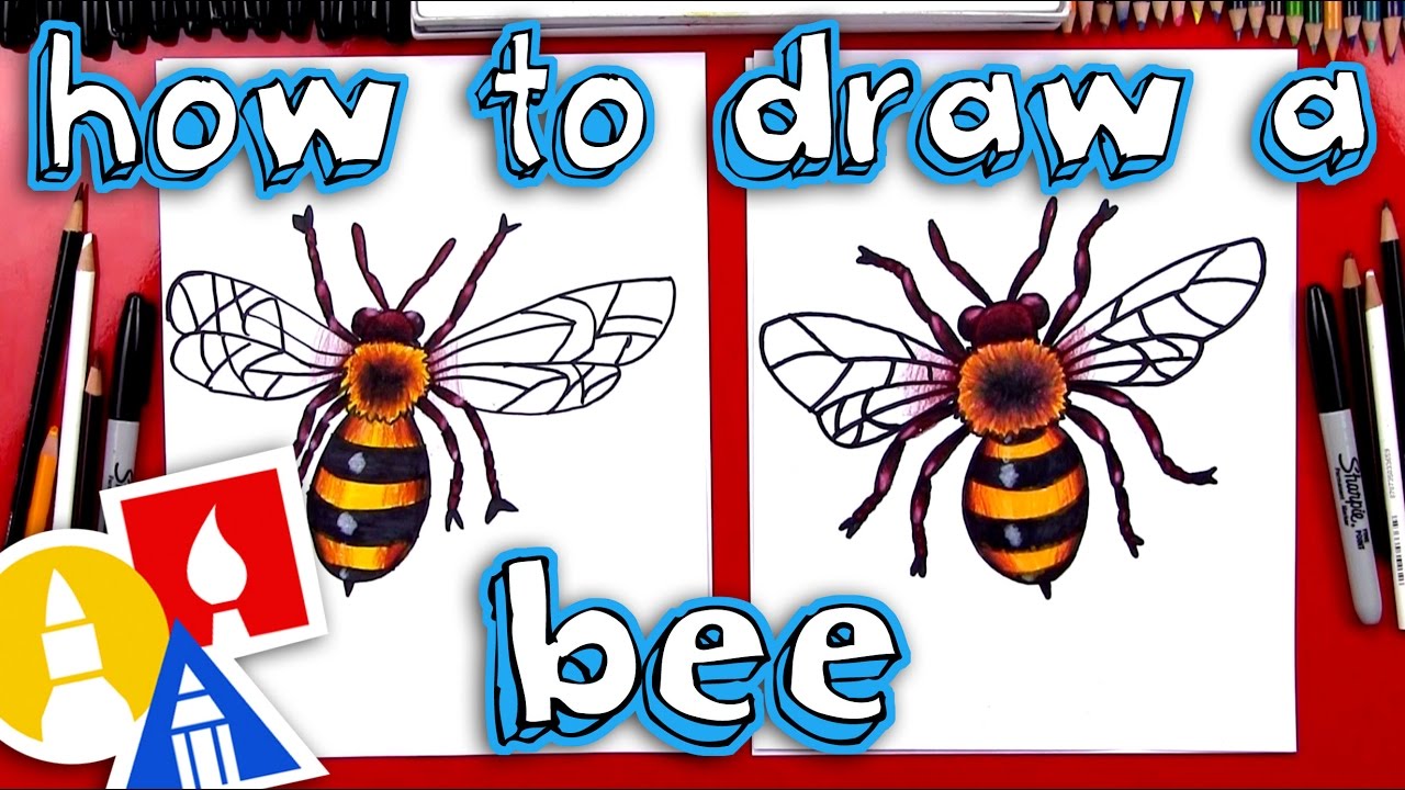 1280x720 How To Draw A Realistic Bee