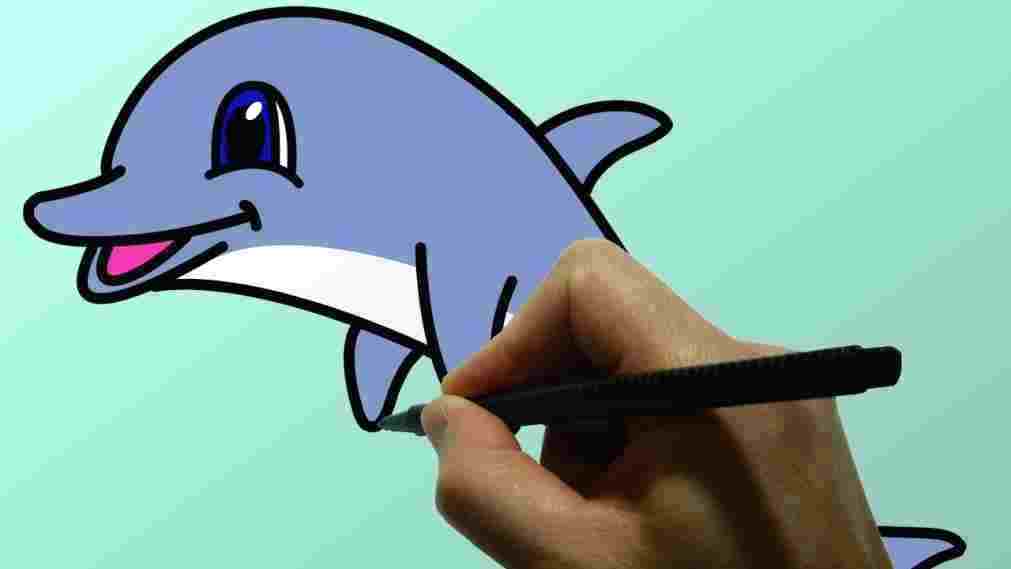 1011x569 How To Draw A Dolphin Step