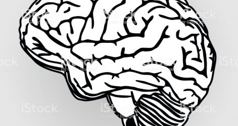 471x250 drawing brain breaks tumblr and label anatomy a easy video carmi