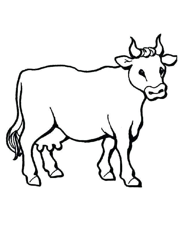 625x780 Drawing Of A Cow Clip Art Of A Cow Drawing Eyes Tutorial Hoteles
