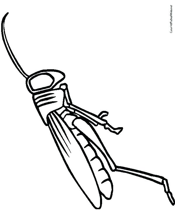 600x756 Kids Drawing Websites How To Draw From Architecture Salary