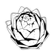 220x220 Artichoke Coloring Pages