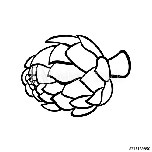 500x500 Vector Hand Drawn Illustration Of An Artichoke Outline Doodle