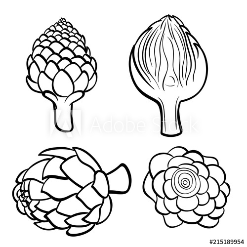 500x500 Vector Hand Drawn Illustration Of Artichoke Outline Doodle Icon