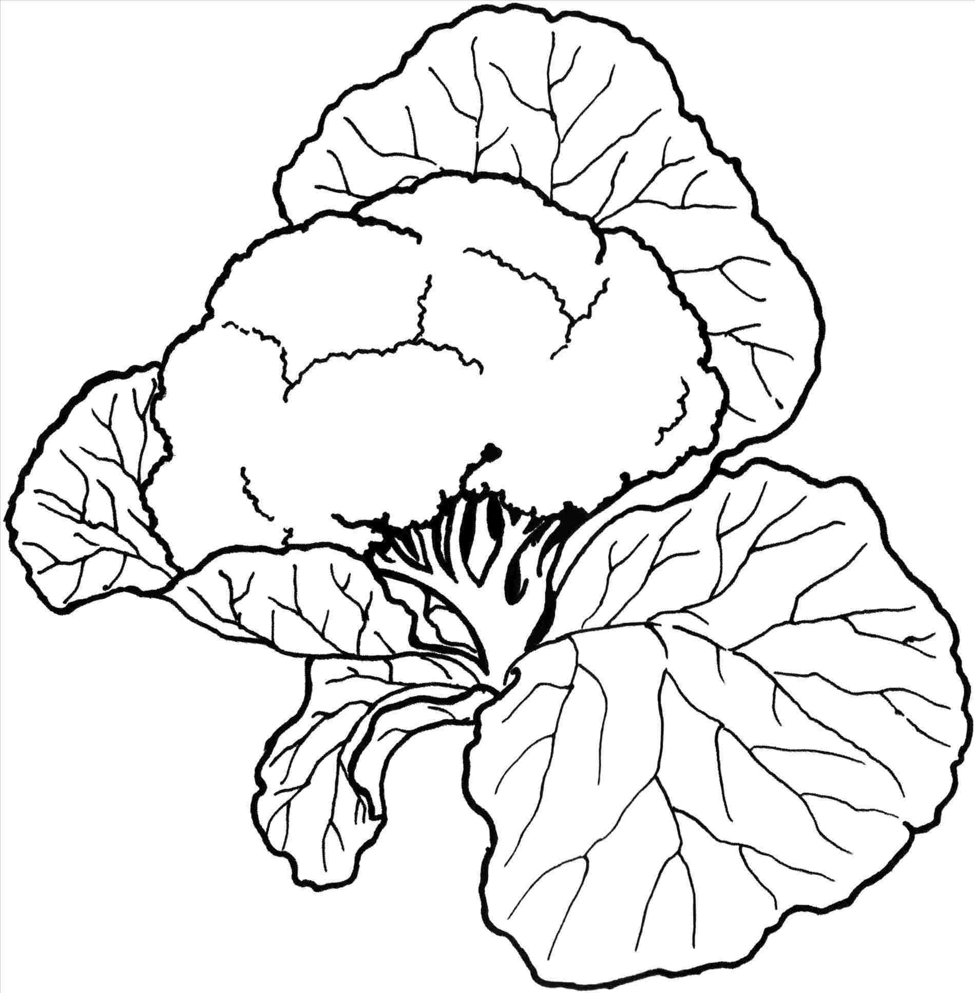 1899x1934 Vegetables Drawing Easy For Kids