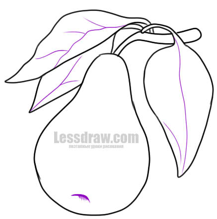 437x441 How To Draw A Pear