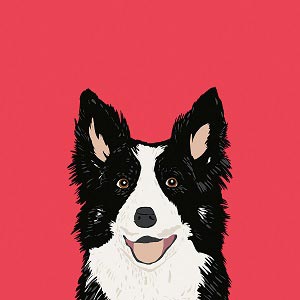 300x300 Dogs Canvas Prints Icanvas