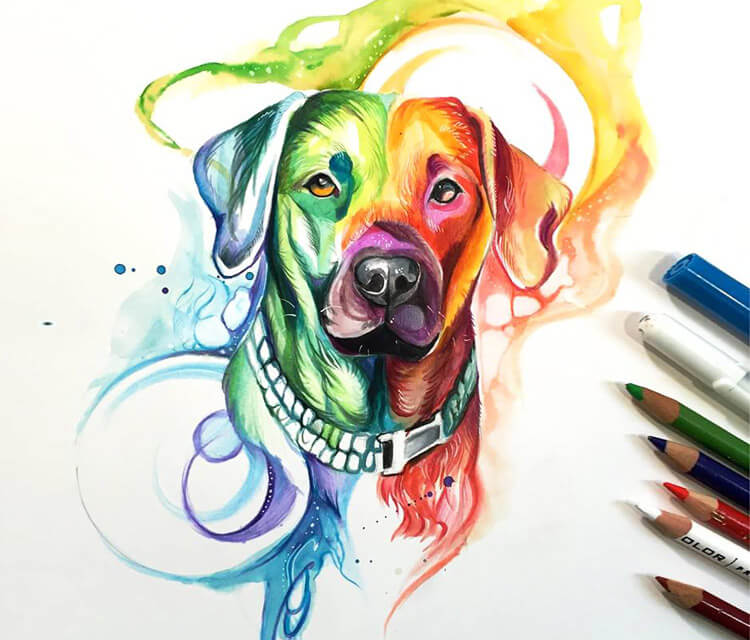750x640 Rainbow Dog Color Drawing