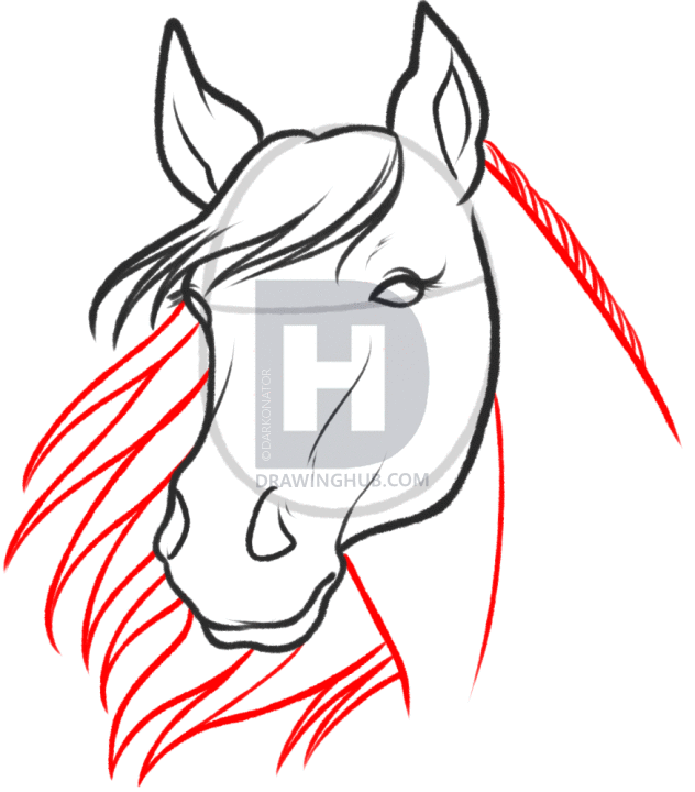 632x720 How To Sketch A Horse, Step