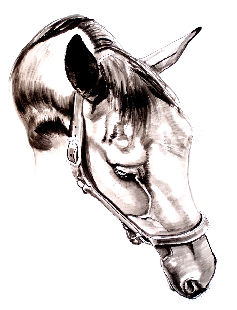 918x1200 Steve Messenger On Twitter Seeking