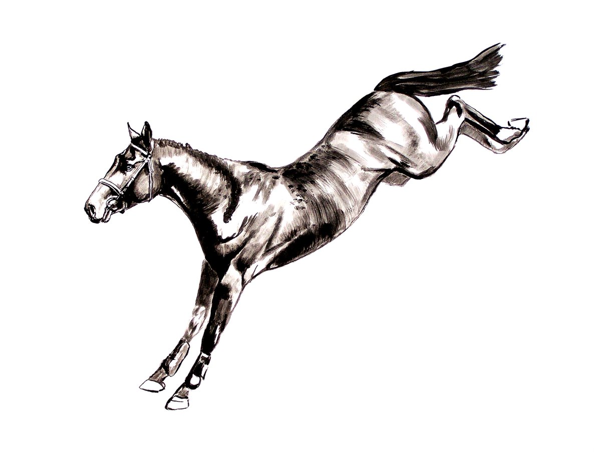 1200x908 Steve Messenger On Twitter Whiplash