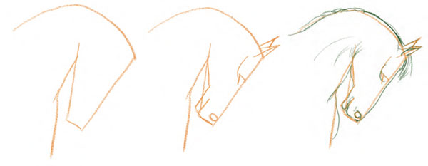 600x233 Drawing Horses, Draw A Horse's Face In Steps