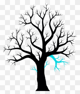 320x375 Twig Drawing Ash Leaf Clipart