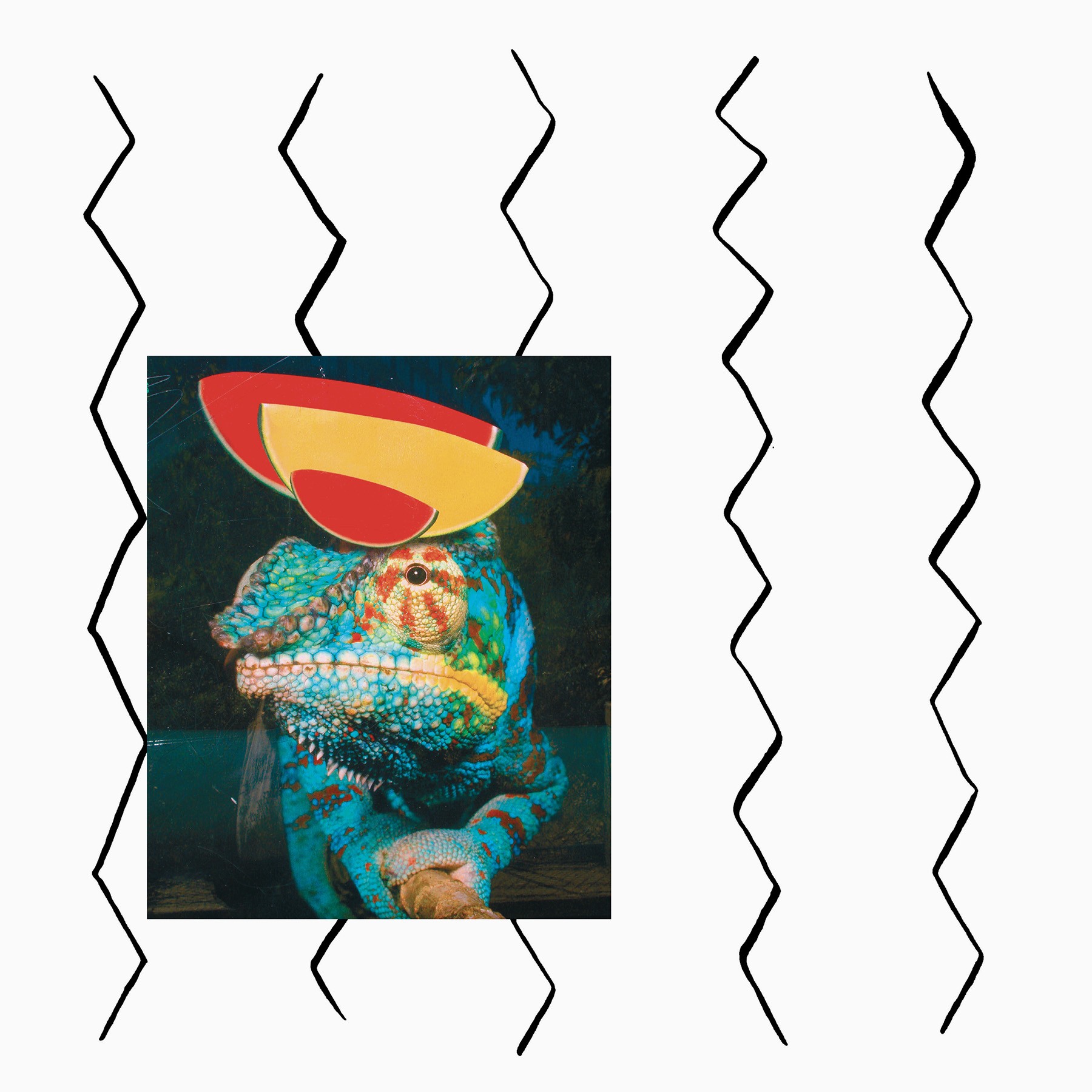 1800x1799 Records Shelter Press