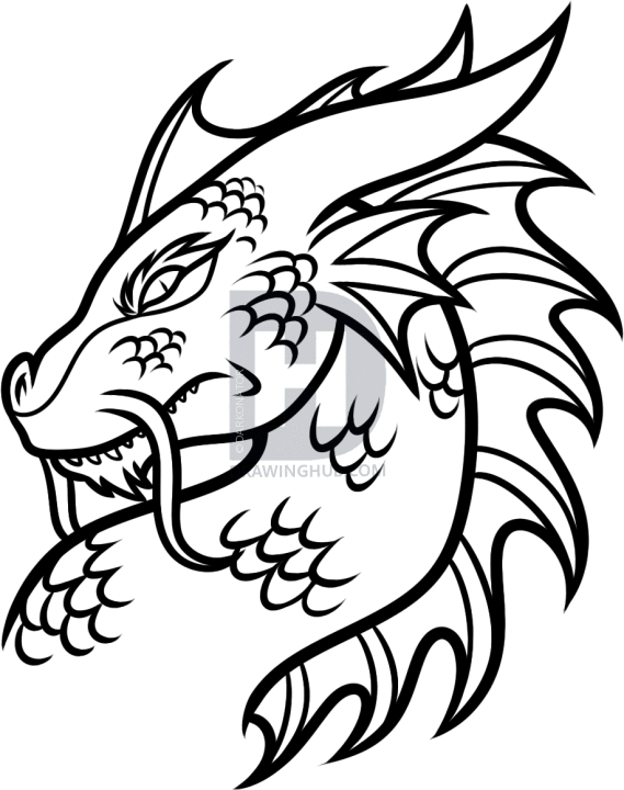 569x720 How To Draw An Asian Dragon, Step