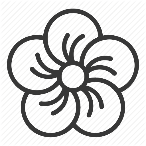 512x512 Drawing Chinese Flower Transparent Png Clipart Free Download