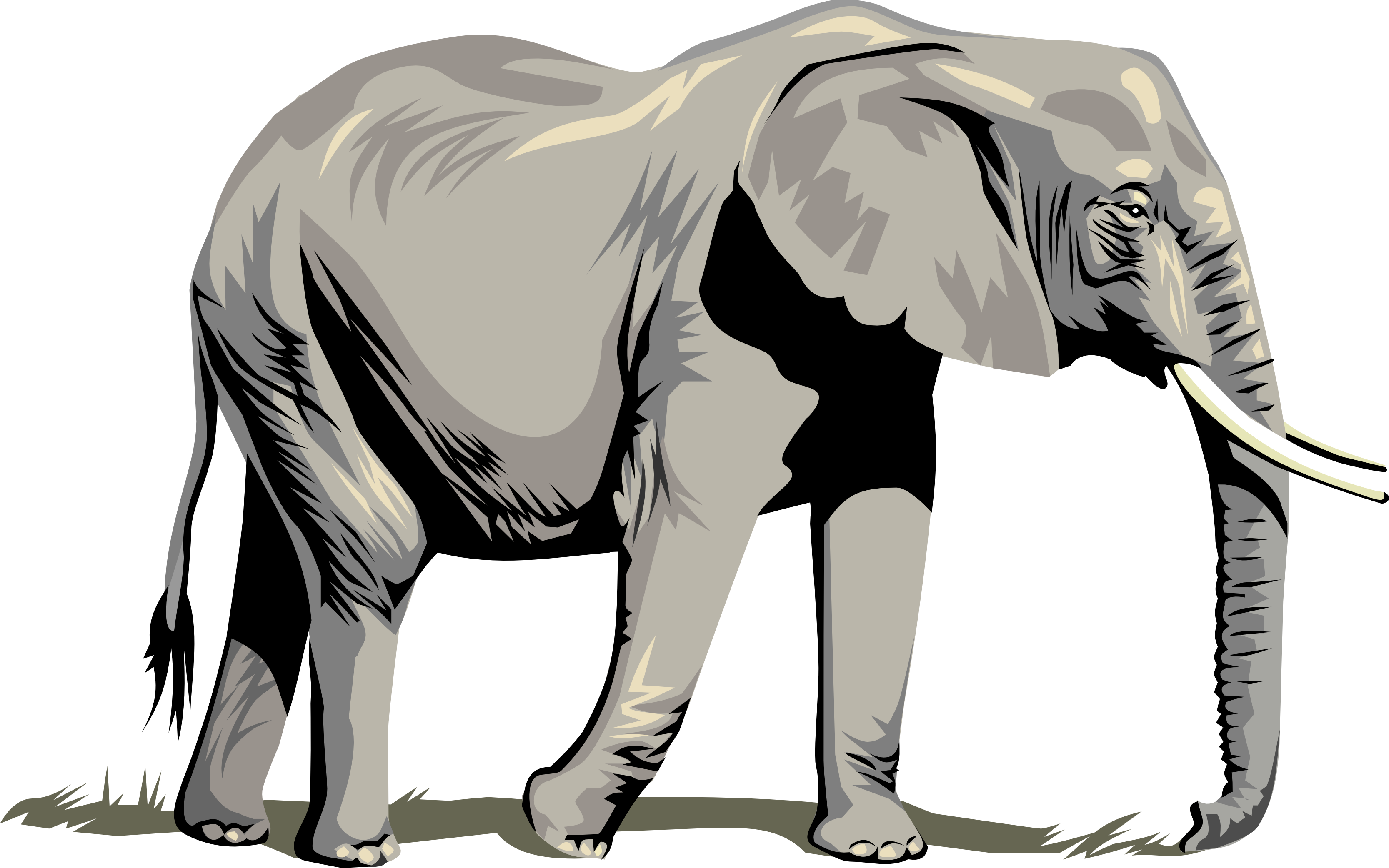 3333x2084 Collection Of Free Elephants Drawing Shading Download On Ui Ex
