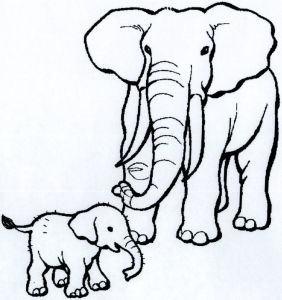 282x300 Coloring Pages Elephants Elegant Images Inspirational Indian