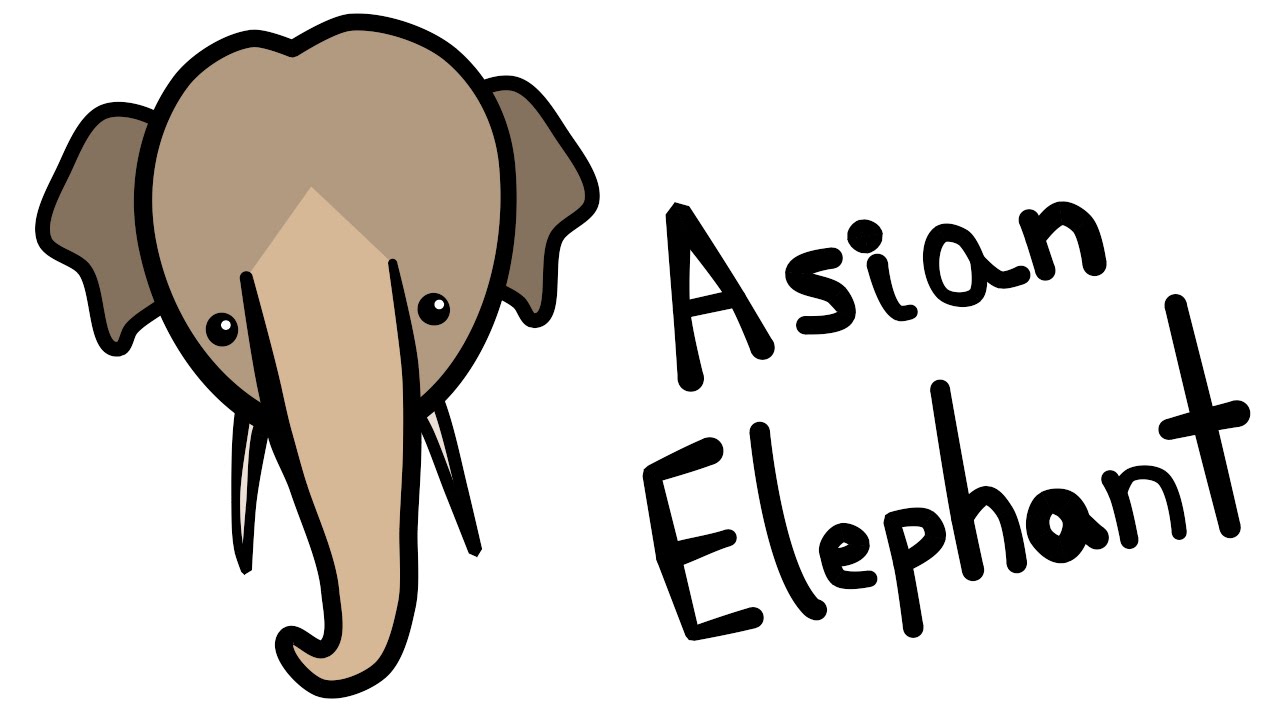 1280x720 Cute And Quick How To Draw An Asian Elephant