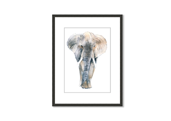 600x424 elephant drawing wild life prints framed standard framed print