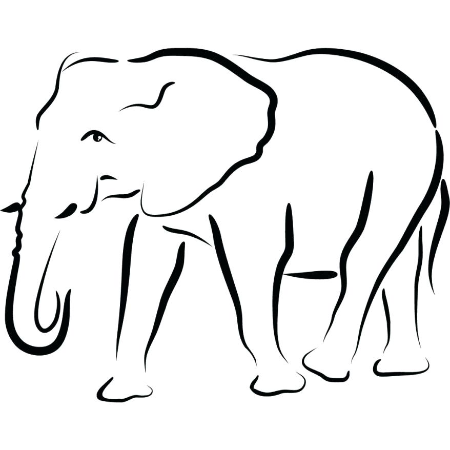 878x878 Outline Of Elephant Elephant Outline Interesting Face Elephant
