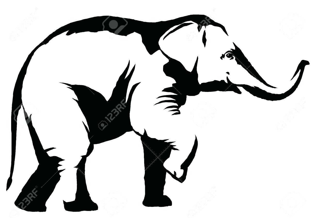 1300x899 How To Draw An Asian Elephant Grapevinewine Club