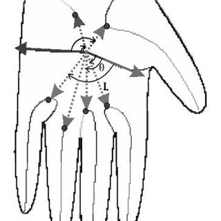 320x320 Disconnected Skeletons