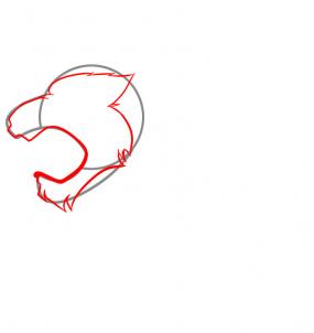 285x302 Draw Aslan, Step