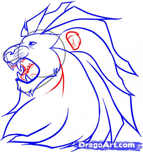 490x520 Learn How To Draw Aslan, Movies, Pop Culture, Free Step