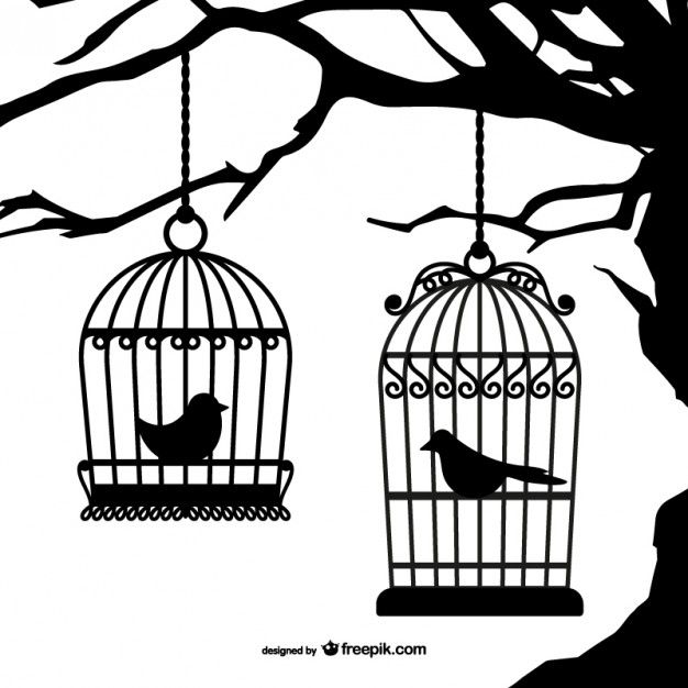 626x626 Black Birdcages Silhouettes