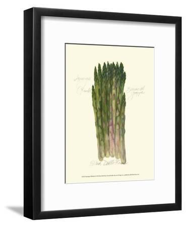 369x450 Asparagus Officinalis Framed Art Print