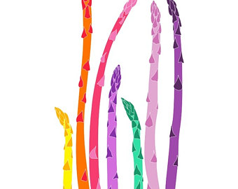 340x270 Asparagus Drawing Etsy
