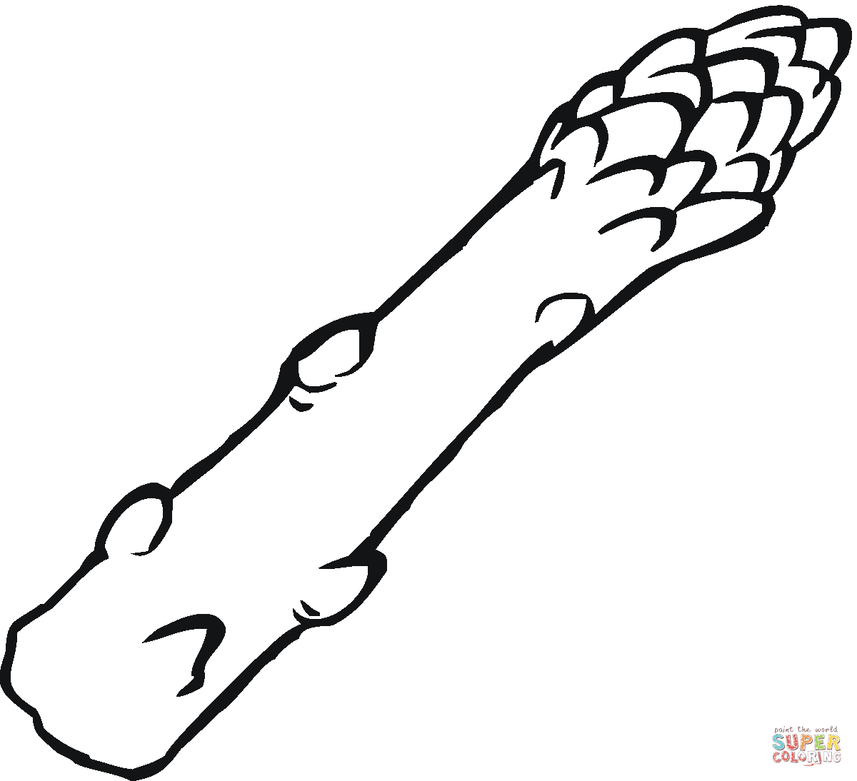 1200x1094 Asparagus Drawing Free Download