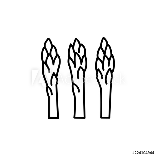 500x500 Black White Vector Illustration Of Shoots Of Garden Asparagus